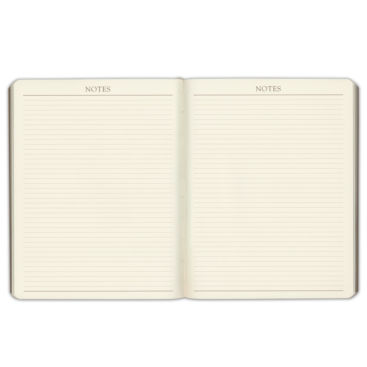 Gallery Leather Large Weekly Monthly Planner 2025, Elegantly Bound Calendar P...